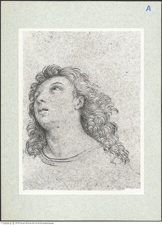 Vorderseite von bh339756_recto