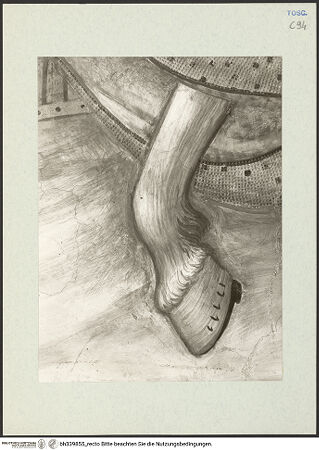 Vorderseite von Kunsthistorisches Institut in Florenz