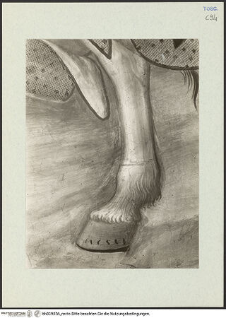 Vorderseite von Kunsthistorisches Institut in Florenz