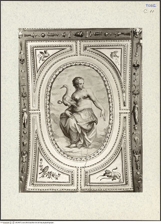 Vorderseite von bh339873_recto