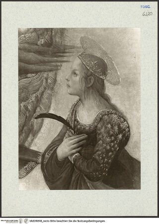 Vorderseite von bh339898_recto