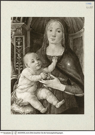 Vorderseite von bh339900_recto