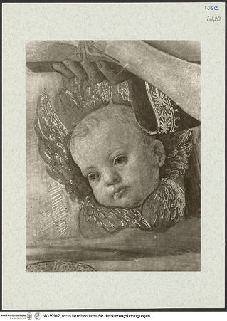 Vorderseite von bh339917_recto