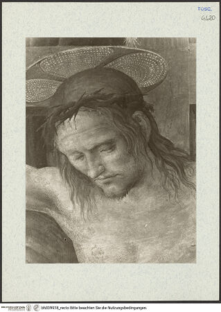 Vorderseite von bh339918_recto