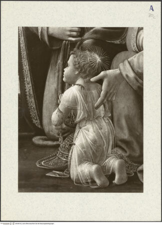 Vorderseite von bh340162_recto