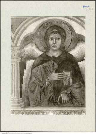 Vorderseite von bh340353_recto