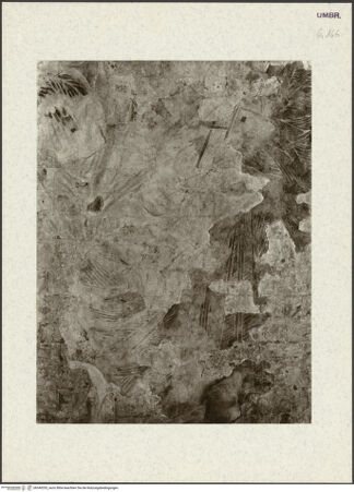 Vorderseite von bh340355_recto