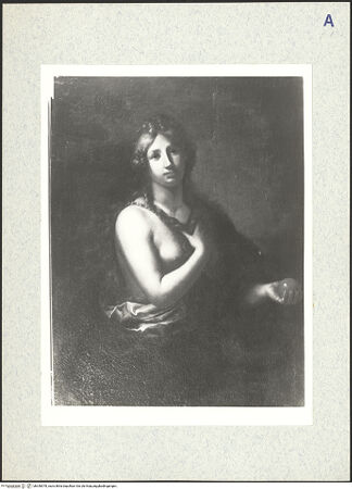 Vorderseite von bh340578_recto