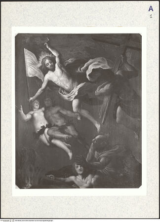 Vorderseite von bh340608_recto