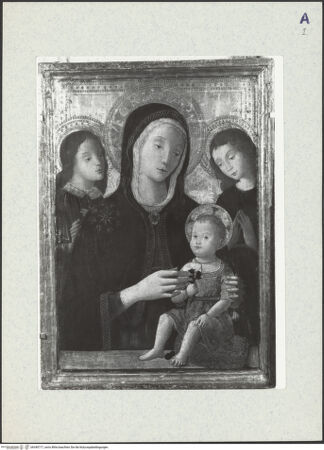 Vorderseite von bh340717_recto