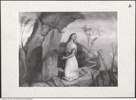 Vorderseite von bh340742_recto