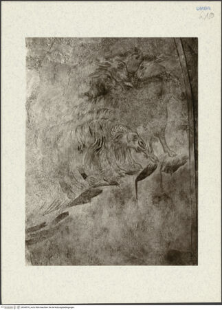 Vorderseite von bh340916_recto