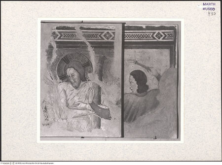 Vorderseite von bh340982_recto