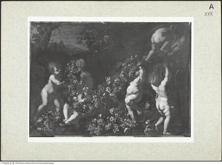 Vorderseite von bh341056_recto