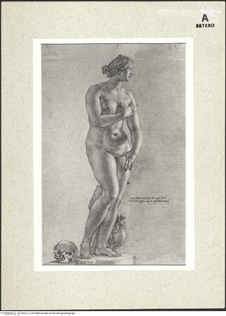 Vorderseite von bh341127_recto