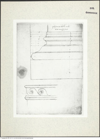 Vorderseite von Fogg Art Museum [https://www.deutsche-digitale-bibliothek.de/content/lizenzen/rv-ez/] Sogenanntes Sangallo SketchbookAnalytischer Aufriss der Schäfte einer Säulenbasis vom Titusbogen und Wellenbandfries vom Tempel des Mars Ultor - , bh341167_recto. Foto.