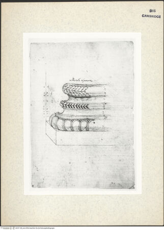 Vorderseite von Fogg Art Museum [https://www.deutsche-digitale-bibliothek.de/content/lizenzen/rv-ez/] Sogenanntes Sangallo SketchbookTeilansicht einer dekorierten Säulenbasis aus dem Tempel des Mars Ultor - , bh341168_recto. Foto.