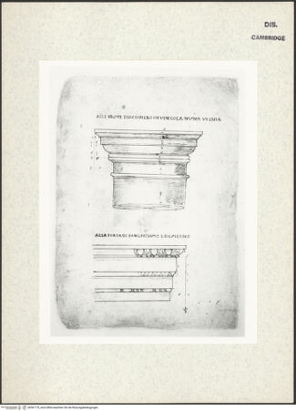 Vorderseite von Fogg Art Museum [https://www.deutsche-digitale-bibliothek.de/content/lizenzen/rv-ez/] Sogenanntes Sangallo SketchbookKapitellschäfte - , bh341176_recto. Foto.