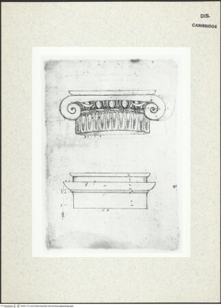 Vorderseite von Fogg Art Museum [https://www.deutsche-digitale-bibliothek.de/content/lizenzen/rv-ez/] Sogenanntes Sangallo SketchbookIonisches Kapitell und Profilansicht des Schaftes - , bh341179_recto. Foto.