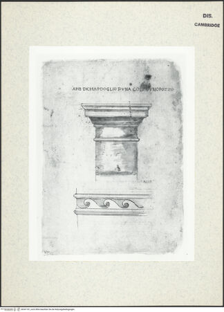 Vorderseite von Fogg Art Museum [https://www.deutsche-digitale-bibliothek.de/content/lizenzen/rv-ez/] Sogenanntes Sangallo SketchbookKapitellschaft und Wellenbandmäander - , bh341181_recto. Foto.