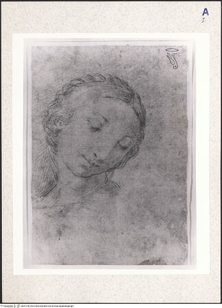 Vorderseite von bh341766_recto