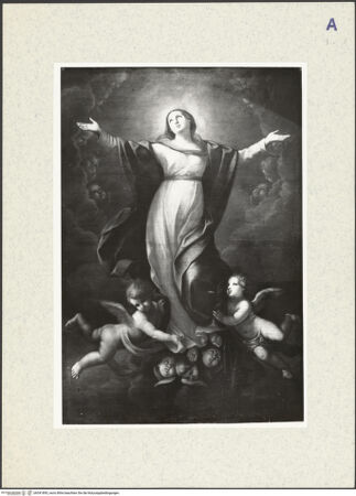 Vorderseite von bh341895_recto