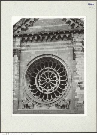 Vorderseite von bh342239_recto