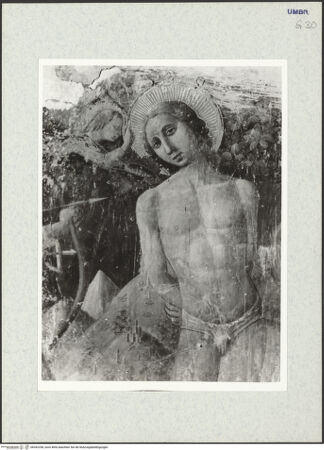 Vorderseite von bh342338_recto