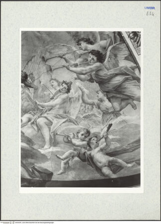 Vorderseite von bh342381_recto