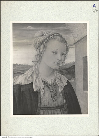 Vorderseite von bh342502_recto