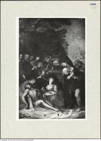 Vorderseite von bh342539_recto