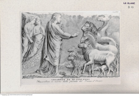 Vorderseite von Landesbildstelle Rheinland [http://creativecommons.org/publicdomain/mark/1.0/] Die Erschaffung der Tiere (Taf. VII aus Della Valle, G. 'Storia del Duomo di Orvieto', Roma 1791) - , bh342734. Foto.