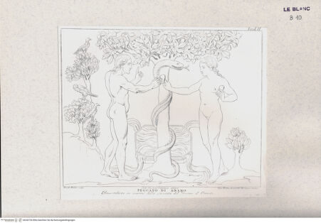 Vorderseite von Landesbildstelle Rheinland [http://creativecommons.org/publicdomain/mark/1.0/] Adams Sünde (Taf. XII aus Della Valle, G. 'Storia del Duomo di Orvieto', Roma 1791) - , bh342736. Foto.