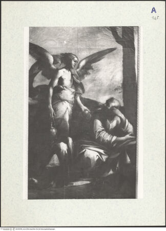 Vorderseite von bh343098_recto