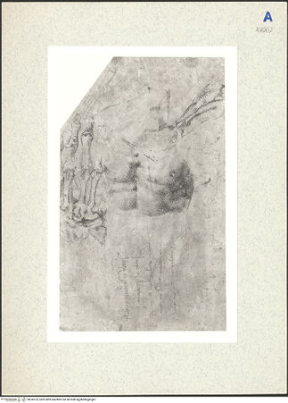 Vorderseite von bh343162_recto