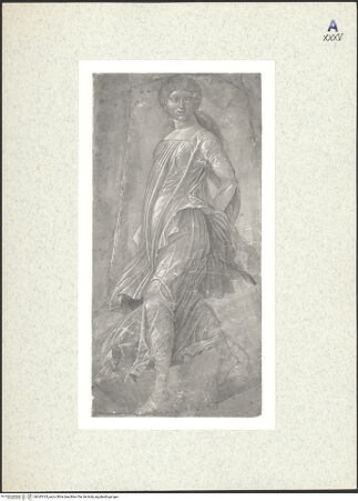 Vorderseite von bh343163_recto