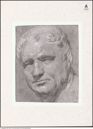 Vorderseite von bh343175_recto