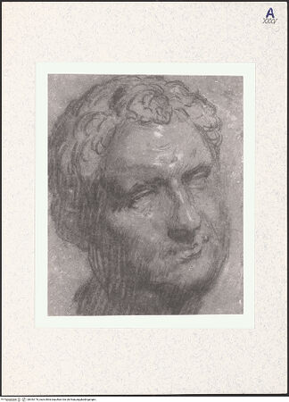 Vorderseite von bh343176_recto