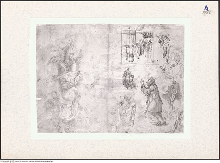 Vorderseite von bh343181_recto