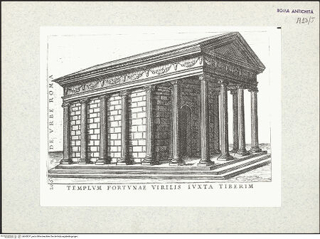 Vorderseite von bh343371_recto