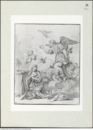 Vorderseite von bh343475_recto