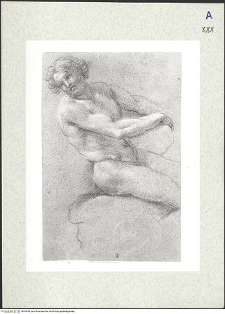 Vorderseite von bh343490_recto