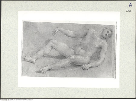 Vorderseite von bh343495_recto