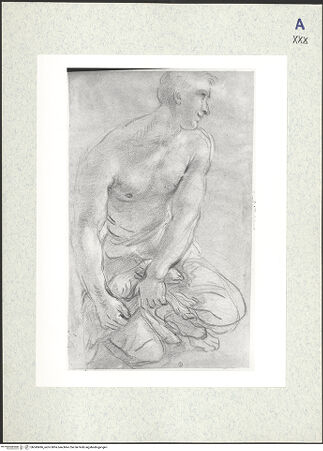 Vorderseite von bh343496_recto