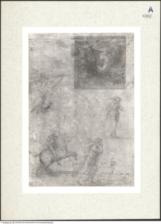 Vorderseite von bh343545_recto