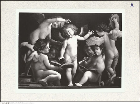 Vorderseite von bh343872_recto