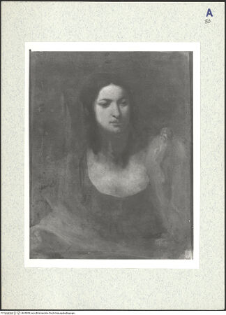 Vorderseite von bh343890_recto