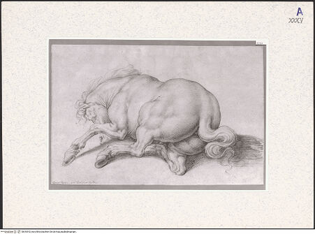 Vorderseite von bh343912_recto