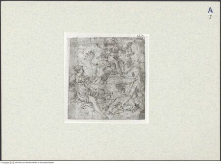 Vorderseite von bh343916_recto