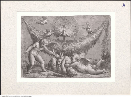 Vorderseite von bh343919_recto